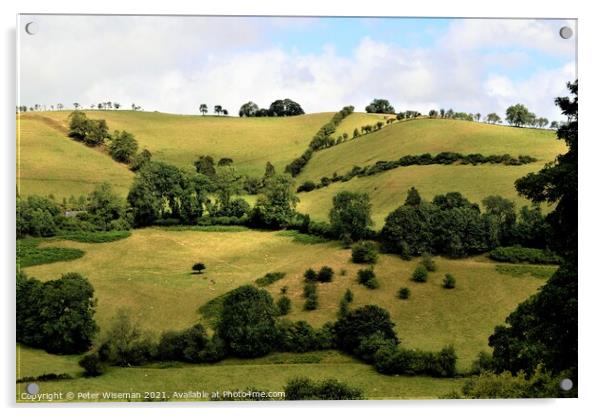 English countryside near Newcastle on Clun, Shrops Acrylic by Peter Wiseman