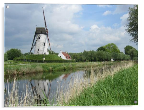 Windmill Damme, West Flanders, Belgium Acrylic by Imladris 
