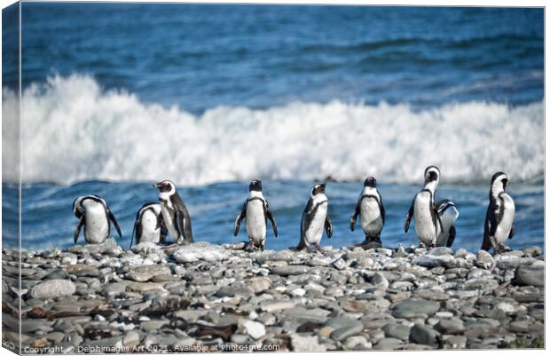 Funny penguins aligned on a beach, South Africa Canvas Print by Delphimages Art