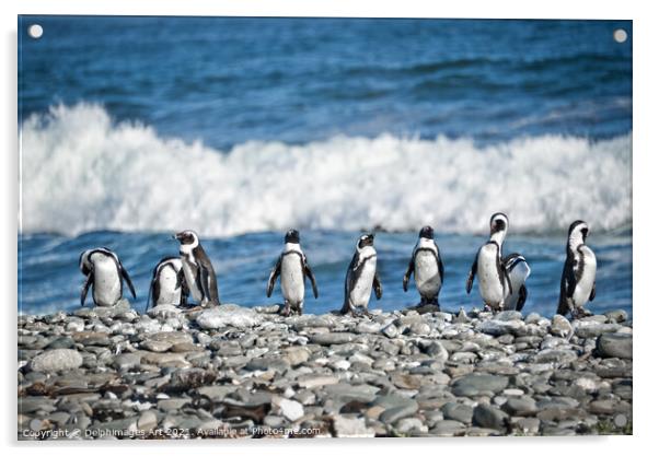 Funny penguins aligned on a beach, South Africa Acrylic by Delphimages Art