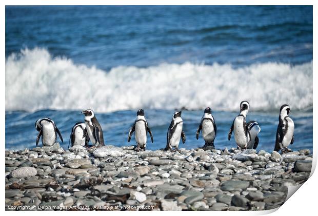 Funny penguins aligned on a beach, South Africa Print by Delphimages Art