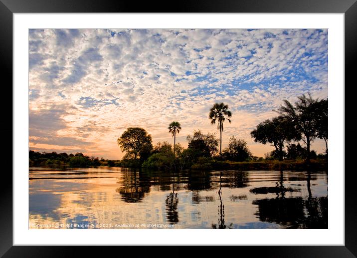 Palm trees on the Zambezi river at sunset, Zambia Framed Mounted Print by Delphimages Art