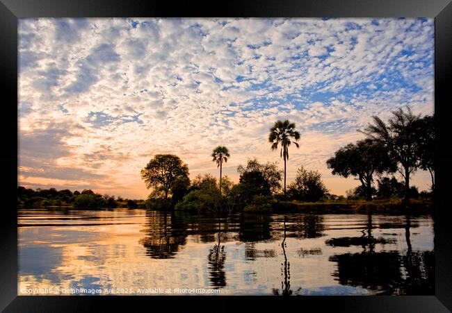 Palm trees on the Zambezi river at sunset, Zambia Framed Print by Delphimages Art