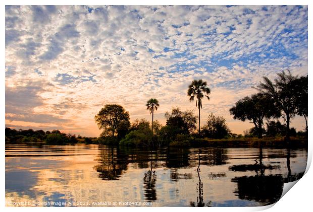Palm trees on the Zambezi river at sunset, Zambia Print by Delphimages Art