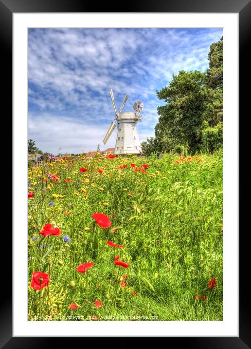 Summer Windmill Framed Mounted Print by David Pyatt