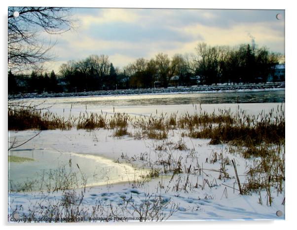 Winter Afternoon Acrylic by Stephanie Moore