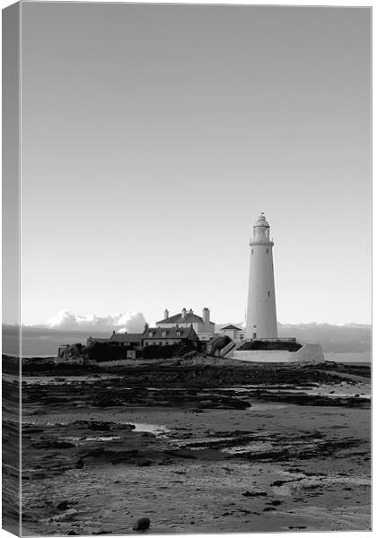 St Mary`s Lighthouse b&w. Canvas Print by Northeast Images