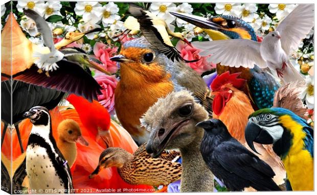 BIRDS OF A FEATHER Canvas Print by OTIS PORRITT
