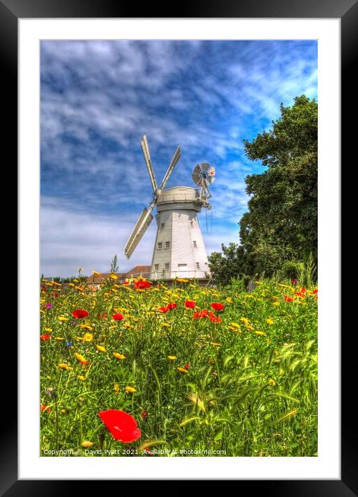 Summer Windmill Poppies  Framed Mounted Print by David Pyatt
