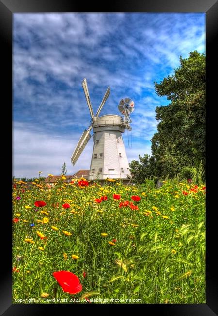 Summer Windmill Poppies  Framed Print by David Pyatt