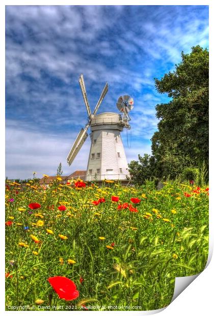 Summer Windmill Poppies  Print by David Pyatt