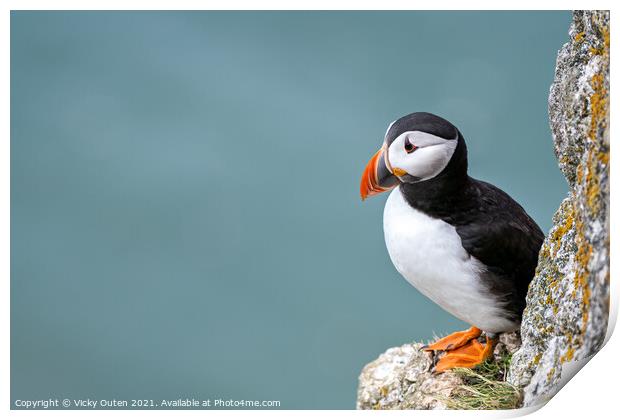 Puffin standing on the edge of the cliff  Print by Vicky Outen