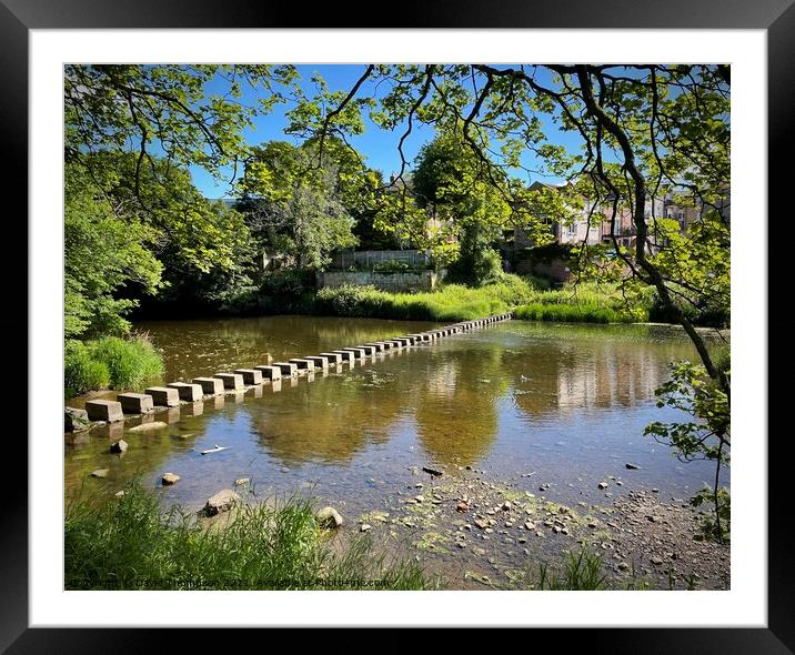 Morpeth Stepping Stones  Framed Mounted Print by David Thompson