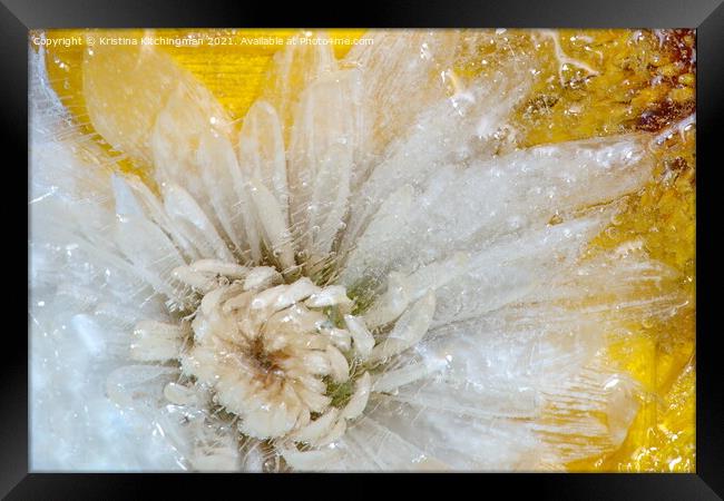 Ice bubbles Framed Print by Kristina Kitchingman