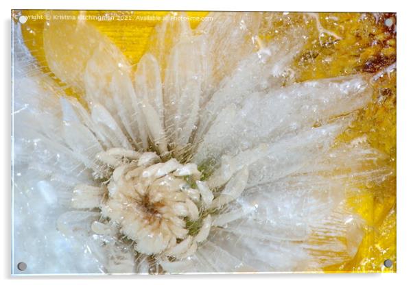 Ice bubbles Acrylic by Kristina Kitchingman