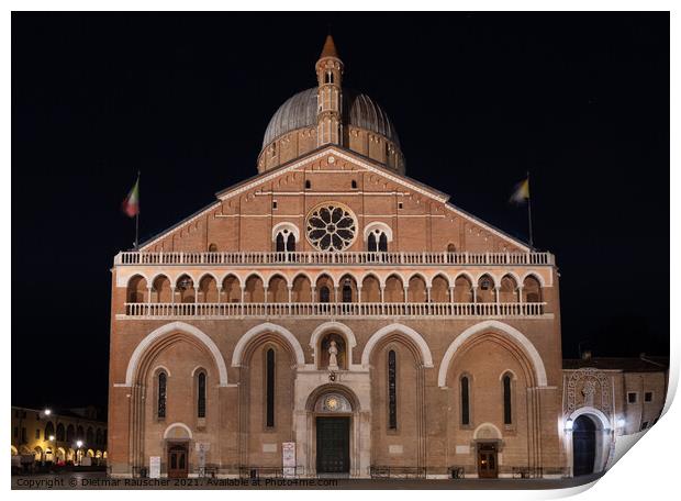 Basilica of Saint Anthony of Padua at Night Print by Dietmar Rauscher
