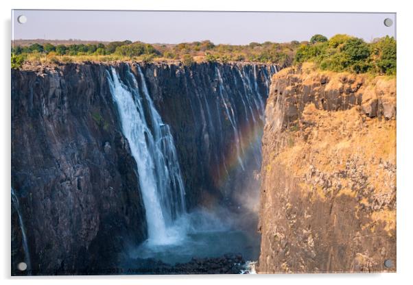 Victoria Falls and Gorge with Rainbow Acrylic by Dietmar Rauscher
