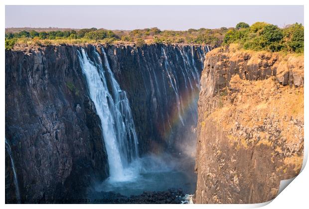 Victoria Falls and Gorge with Rainbow Print by Dietmar Rauscher