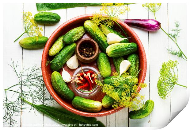 Homemade cucumber pickling and ingredients Print by Mykola Lunov Mykola
