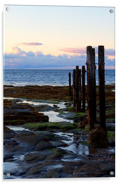 st mary`s groyne Acrylic by Northeast Images