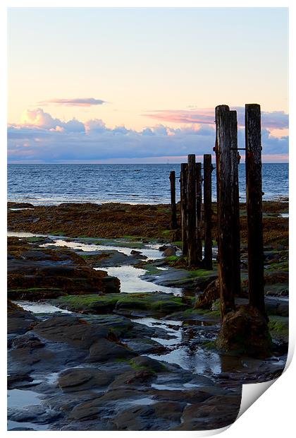 st mary`s groyne Print by Northeast Images