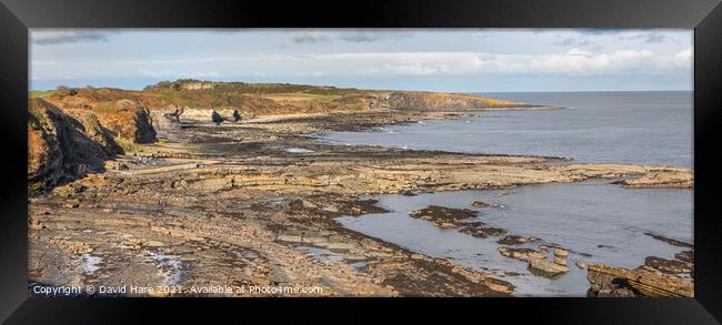 Northumberland Coast Framed Print by David Hare