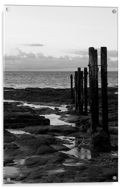 st mary`s groyne b&w. Acrylic by Northeast Images
