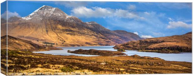 Highland Mountains Canvas Print by David Hare