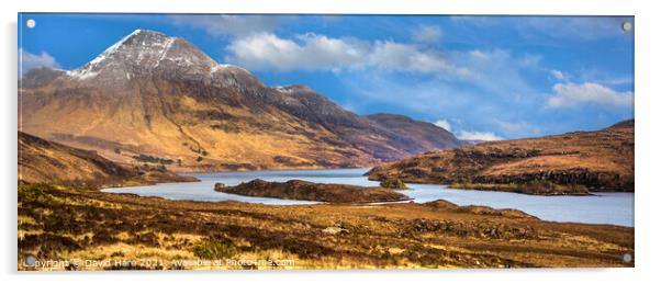 Highland Mountains Acrylic by David Hare