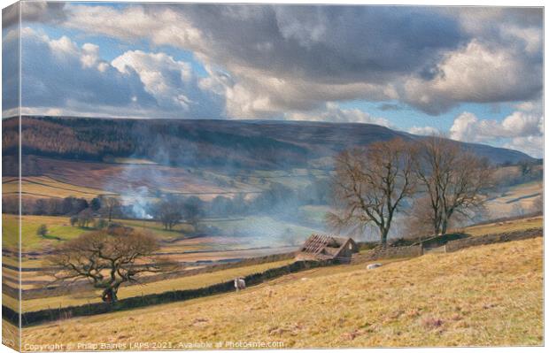 Yorkshire Dales near Appletreewick Canvas Print by Philip Baines