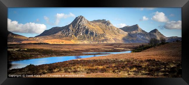 Ben Loyal Framed Print by David Hare