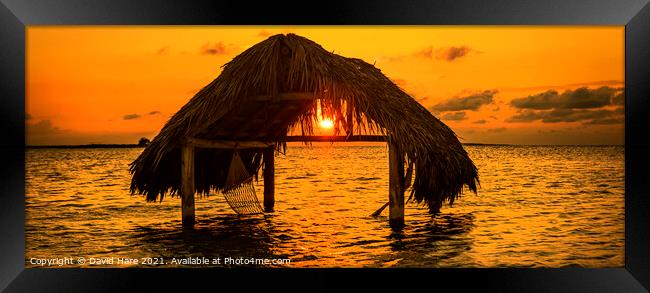 Caribbean Sunset Framed Print by David Hare