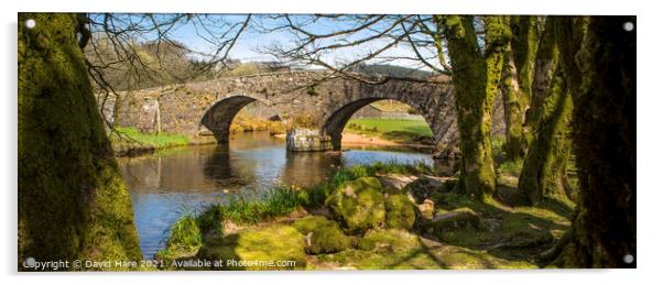 Two Bridges Acrylic by David Hare