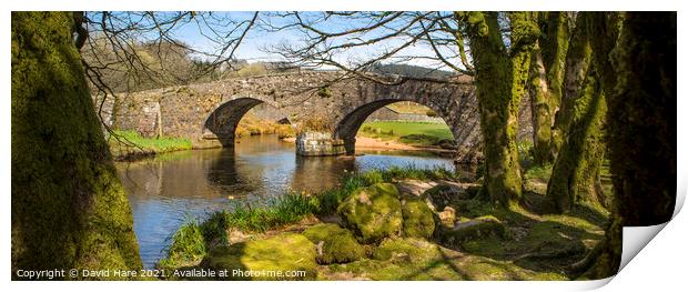 Two Bridges Print by David Hare