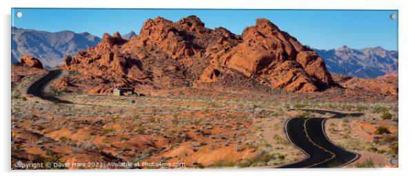 Valley of Fire Acrylic by David Hare