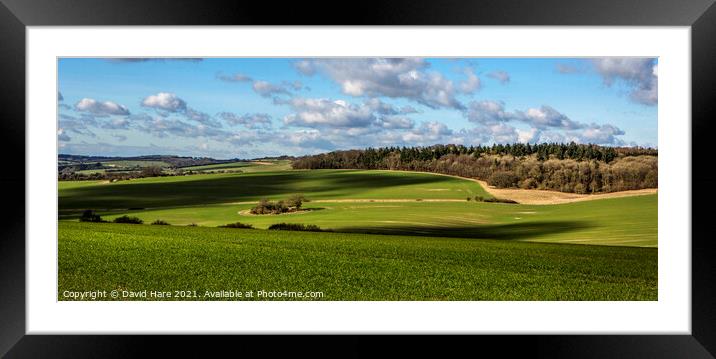 Wiltshire Farmland Framed Mounted Print by David Hare