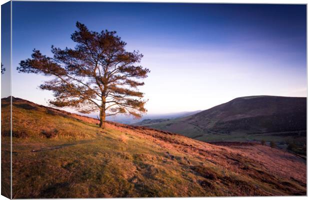 Lone tree Canvas Print by Lukasz Lukomski