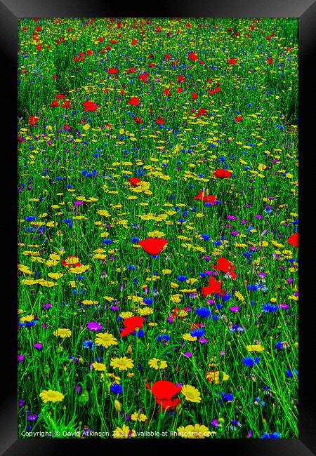 Wild Flower Meadow Framed Print by David Atkinson