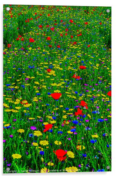 Wild Flower Meadow Acrylic by David Atkinson