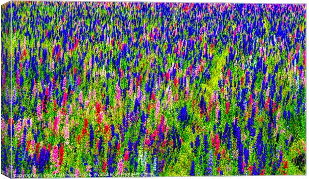 Abstract flower field  Canvas Print by David Atkinson