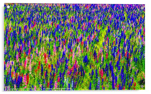 Abstract flower field  Acrylic by David Atkinson