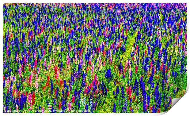 Abstract flower field  Print by David Atkinson