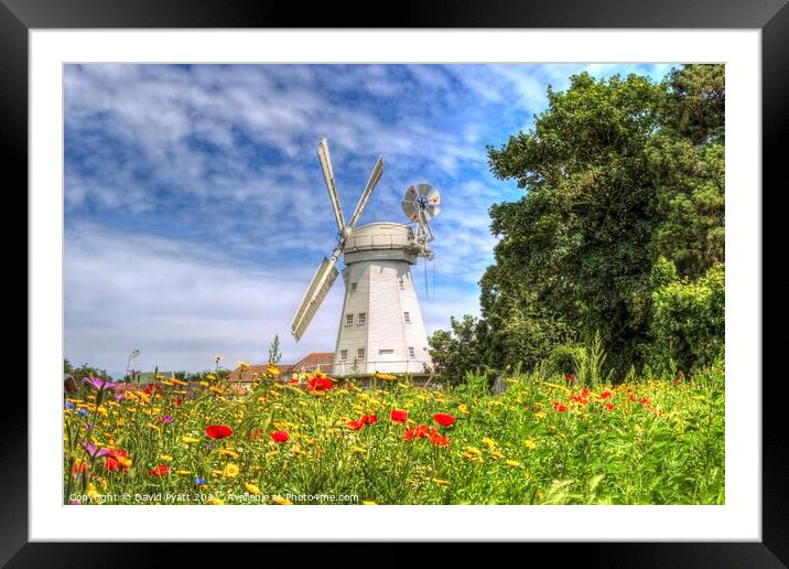 Windmill Meadow Framed Mounted Print by David Pyatt