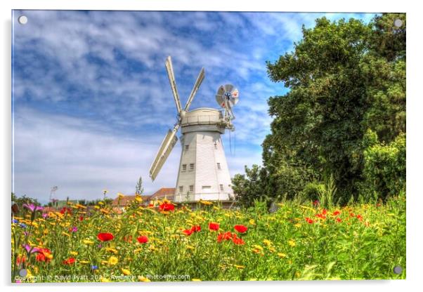 Windmill Meadow Acrylic by David Pyatt