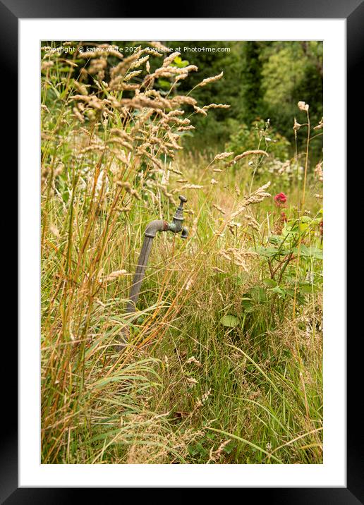 Wild flower meadow with old outside tap Framed Mounted Print by kathy white