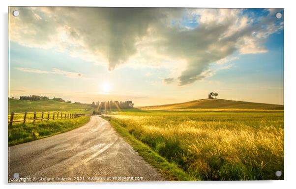 Countryside Road in Alta Maremma, Tuscany Acrylic by Stefano Orazzini