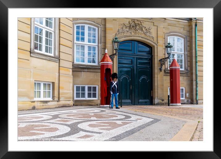 Amalienborg Palace Guard Framed Mounted Print by DiFigiano Photography