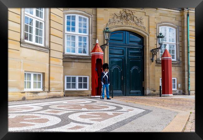 Amalienborg Palace Guard Framed Print by DiFigiano Photography