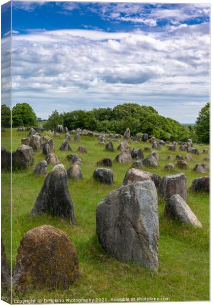 Lindholm Hills Viking Burial Grounds Canvas Print by DiFigiano Photography