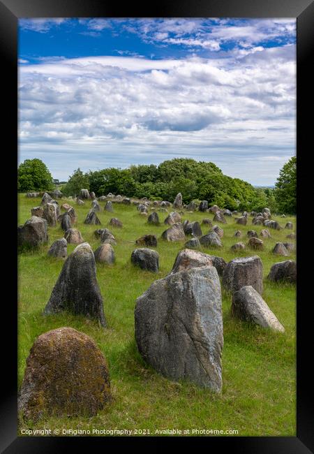 Lindholm Hills Viking Burial Grounds Framed Print by DiFigiano Photography